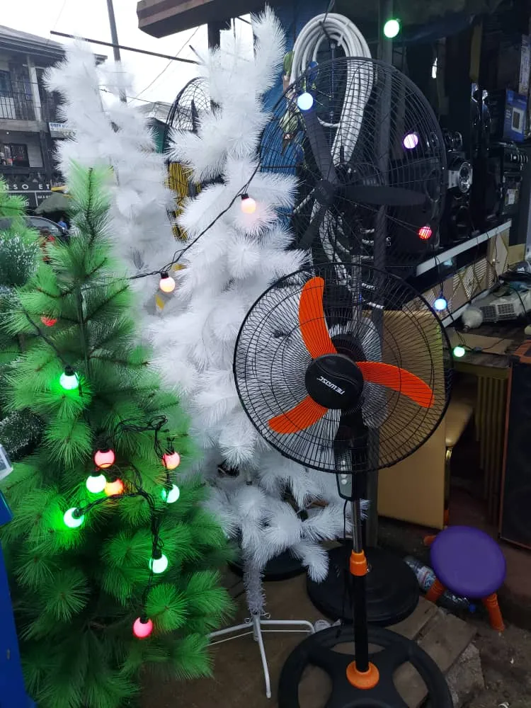 Photo de Galerie 1 - Petites Annonces | 🎄✨ Christmas Trees For Sale! ✨🎄, Clerks Quarters, Buea, Cameroun | Général et autres 