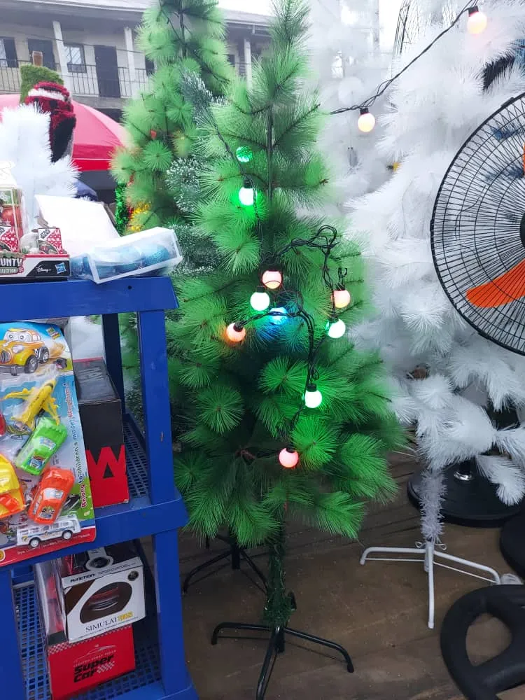 Photo de Galerie 2 - Petites Annonces | 🎄✨ Christmas Trees For Sale! ✨🎄, Clerks Quarters, Buea, Cameroun | Général et autres 