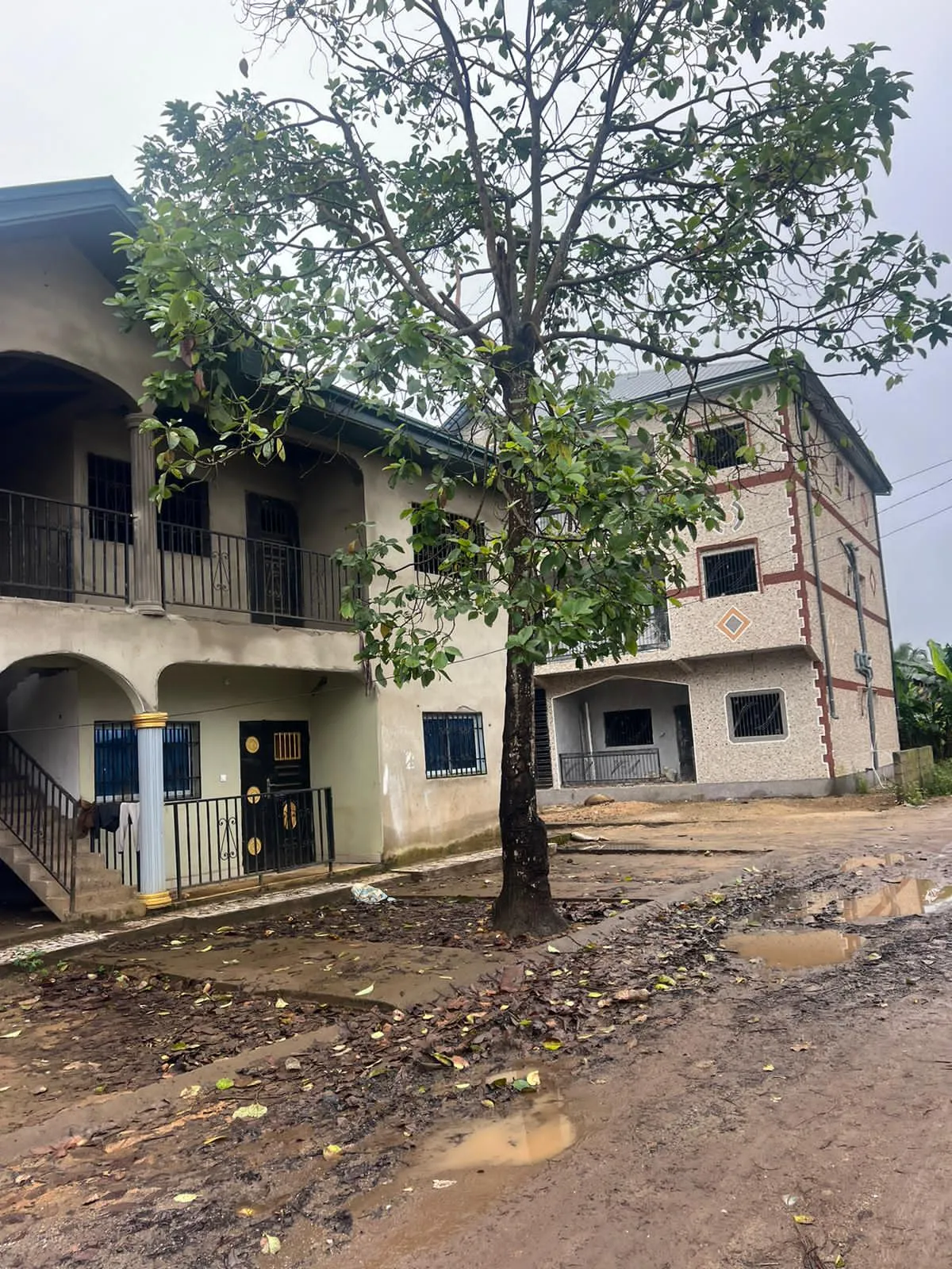 Main Photo - Real Estate | House For Sale | Apartment Building For Sale – Buea, SandPit, Buea, Cameroon