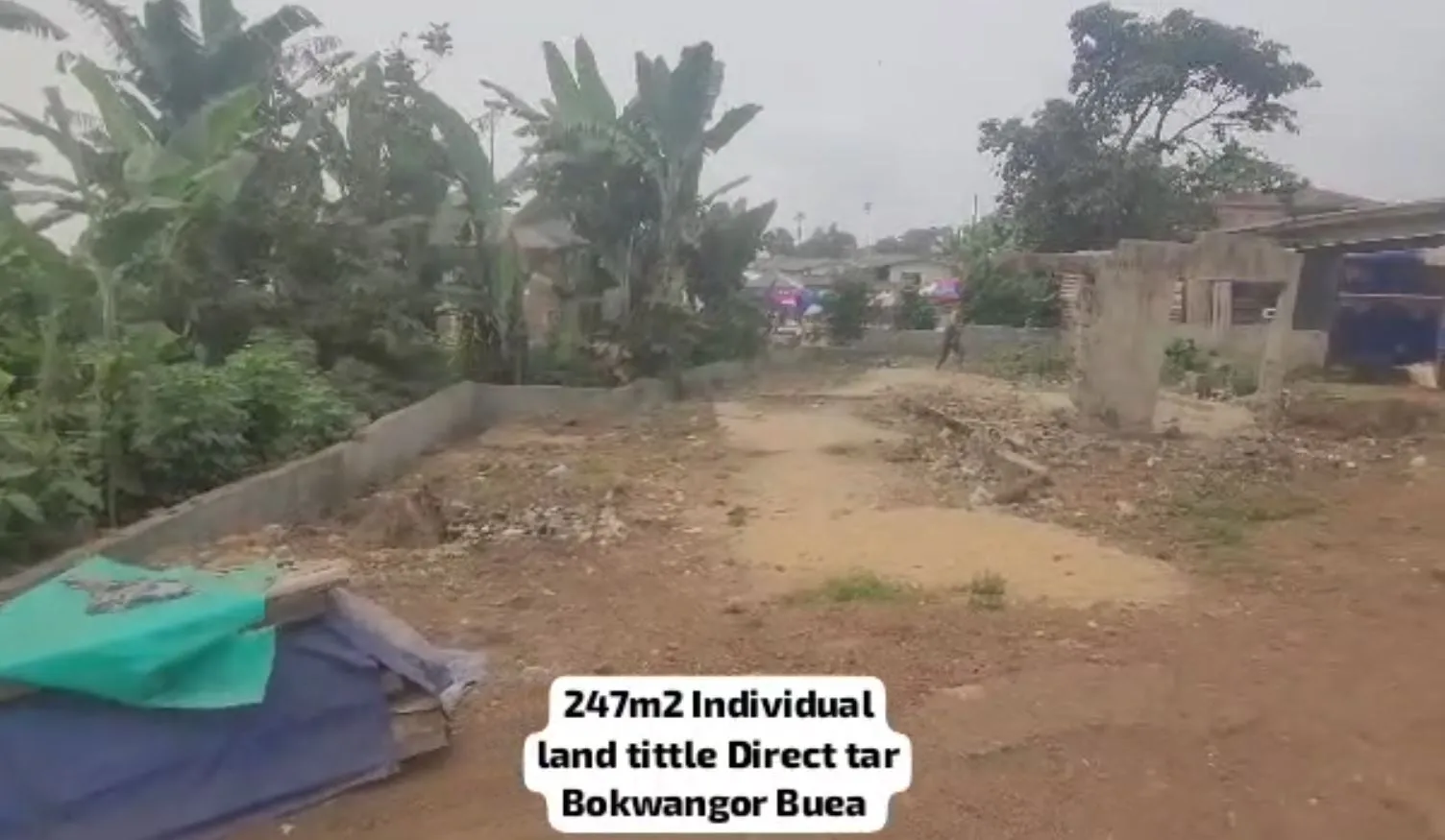 Main Photo - Real Estate | House For Sale | Prime Commercial Plot For Sale – Bokwango, Buea 🏢, Bokwango, Buea, Cameroon