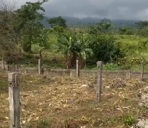 Main Photo - Real Estate | Land For Sale | New Listing – Distress Sale At Limbola, Limbe, Limbola, Limbé, Cameroon
