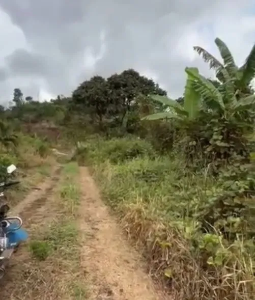Main Photo - Real Estate | Land For Sale | New Listing – Affordable Parcels At Wosenge Layout, Upper Bojongo, Buea, Cameroon