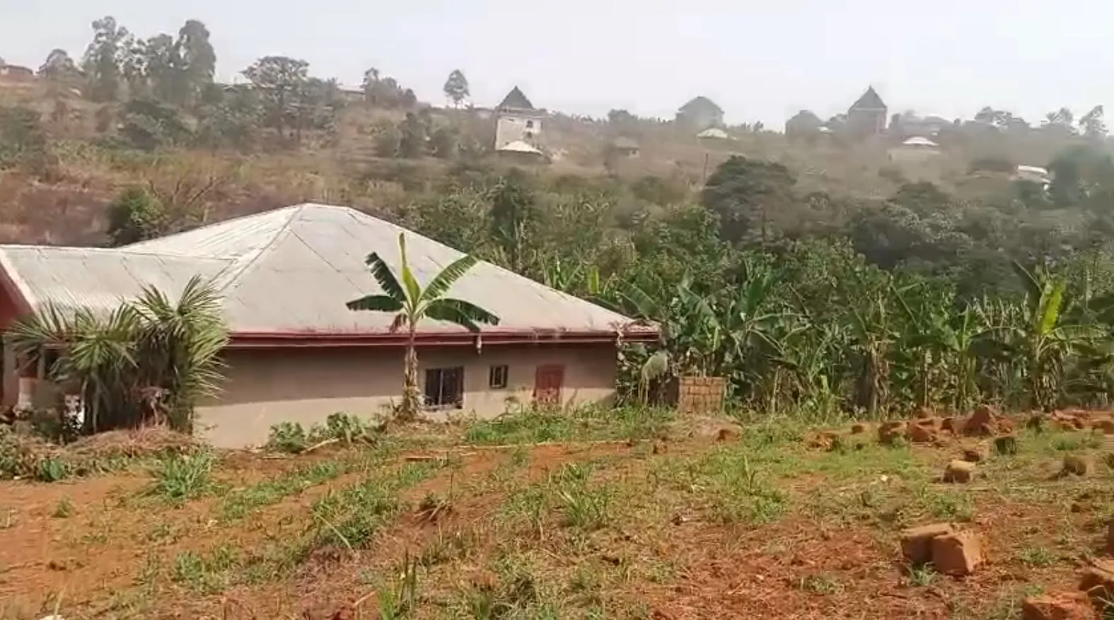 Main Photo - Real Estate | Land For Sale | Special Offer: Prime Plot At Ntache, Upstation 🏔️, Up station, Bamenda, Cameroon