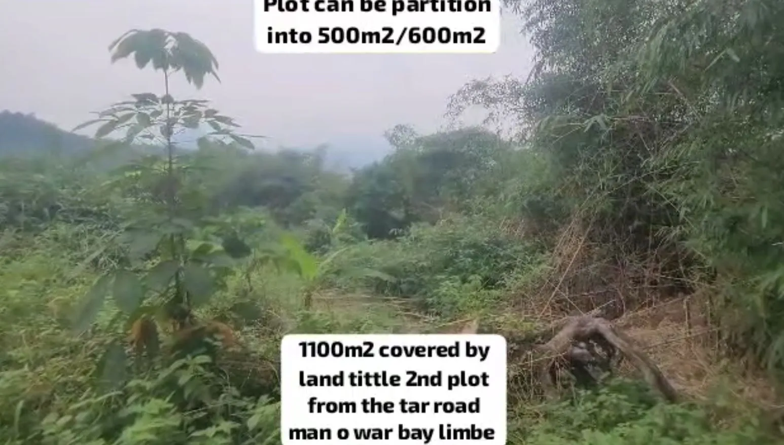 Main Photo - Real Estate | Land For Sale | New Listing – 1100M² Available At Man O War Bay Limbe, Man Na O Bay, Limbé, Cameroon