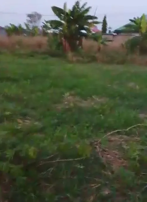 Image de la propriété