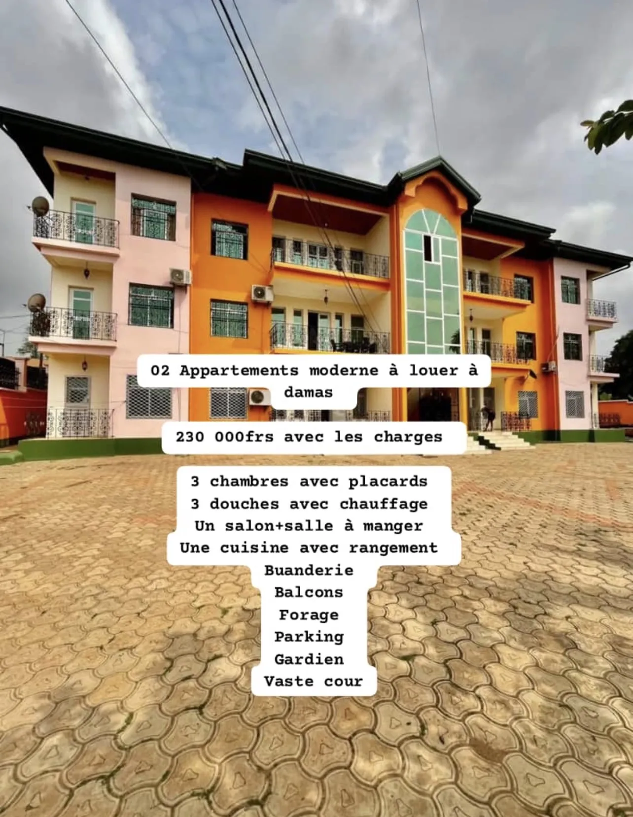 Photo Principale - Immobilier | Appartement À Louer | Apartment, Damas, Yaoundé, Cameroun