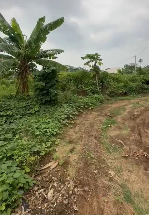Main Photo - Real Estate | Land For Sale | New Listing — Prime Land For Sale At Limbola New Layout, Limbe, Limbola New Layout, Limbé, Cameroon
