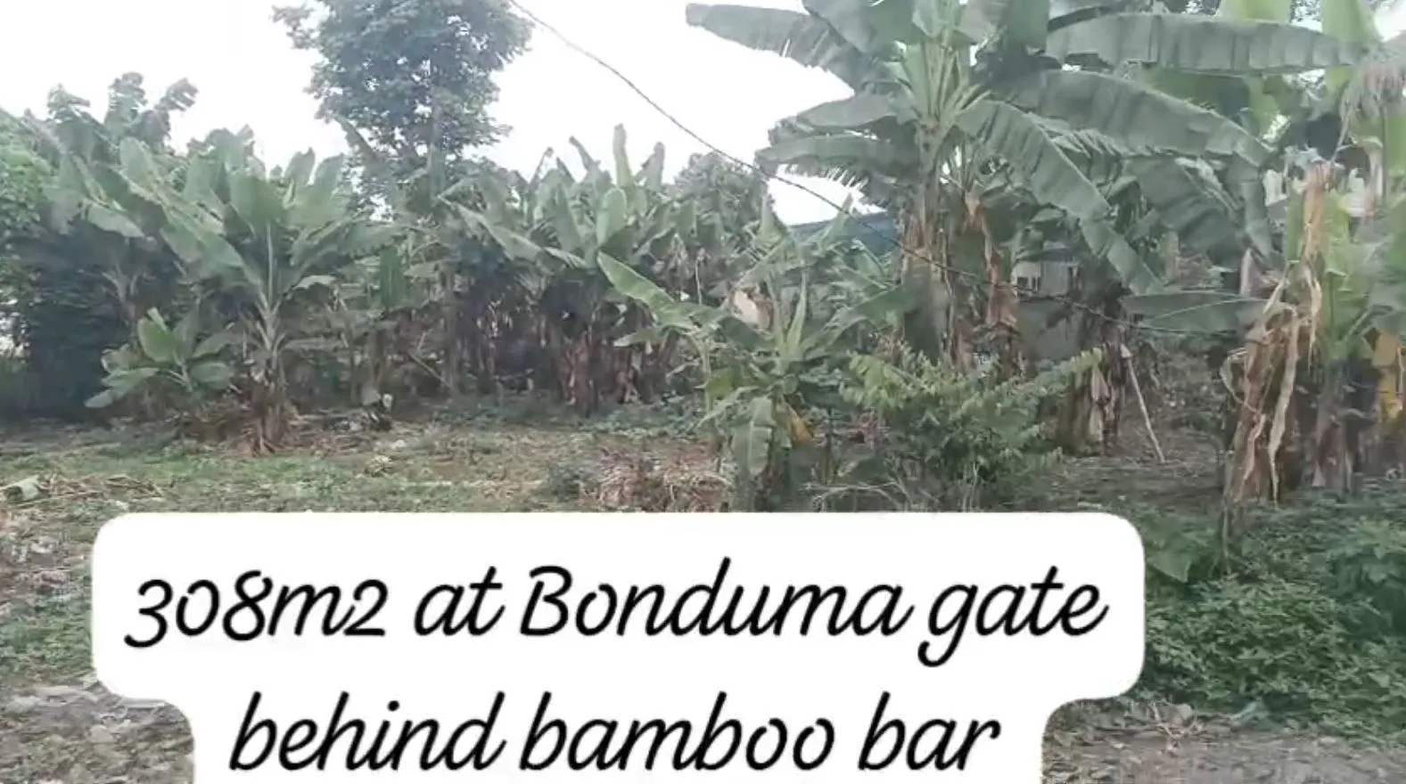 Main Photo - Real Estate | Land For Sale | Land For Sale – Bonduma, Buea 🇨🇲 🏡, Bonduma, Buea, Cameroon