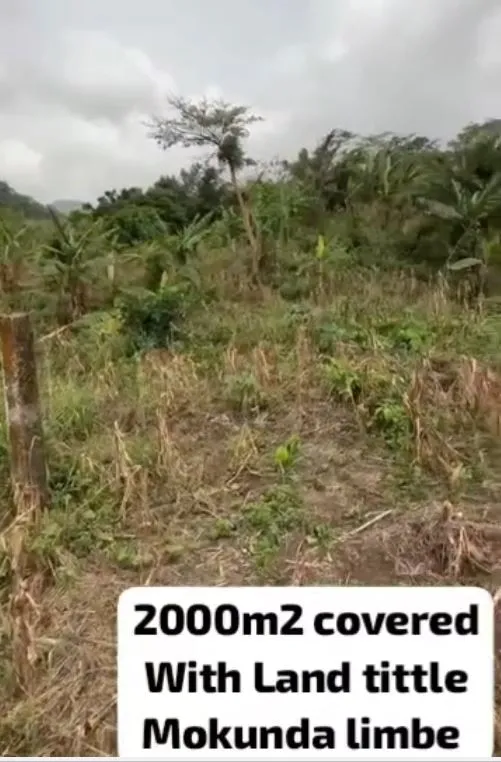 Main Photo - Real Estate | House For Sale | Sea View Land At Mukunda Layout, Limbe, Mukunda, Limbé, Cameroon