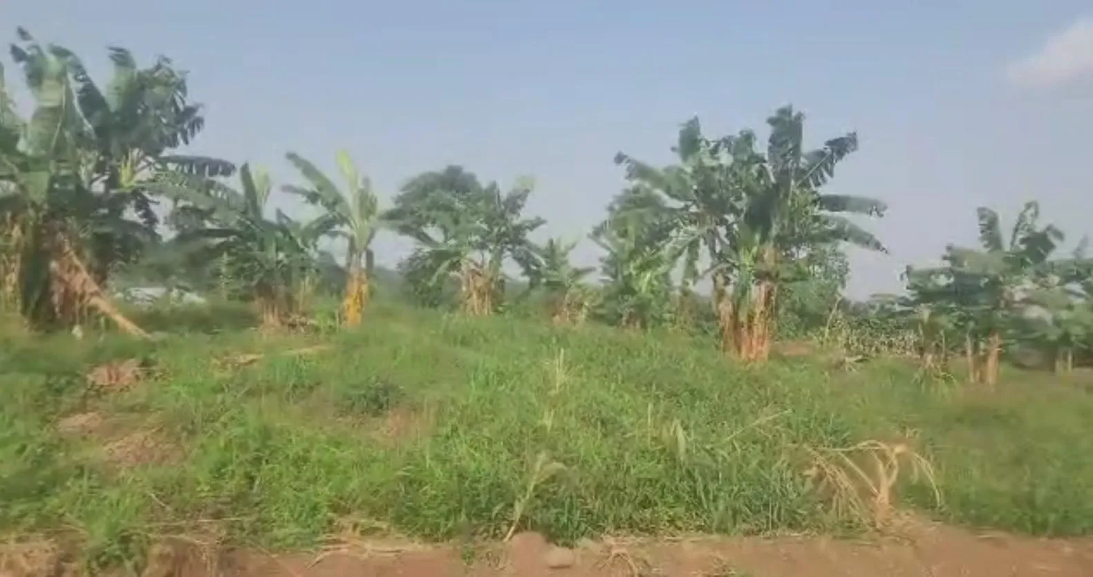 Image de la propriété
