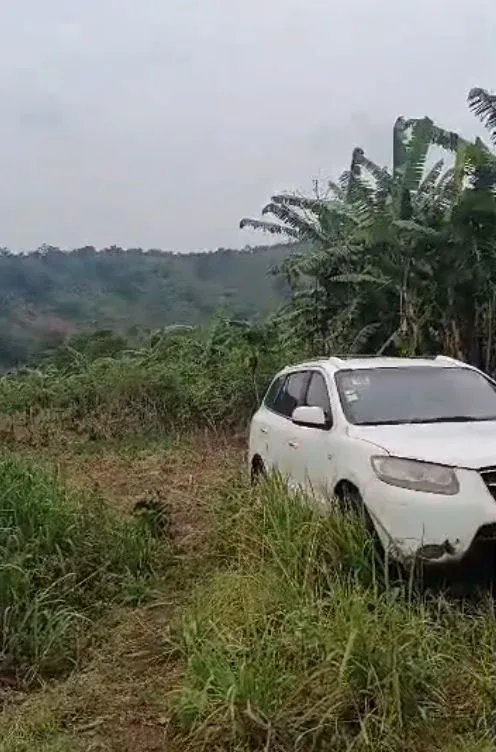 Photo Principale - Immobilier | Terrain À Vendre | Land For Sale – Prime Location In Lower Meveo 🚨, Lower Meveo (Behind GHS Mutengene), Mutengene, Cameroun