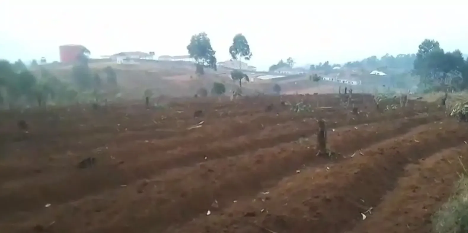 Main Photo - Real Estate | Land For Sale | Plot For Sale – Bamenda 🔥🔥, Up station, Bamenda, Cameroon