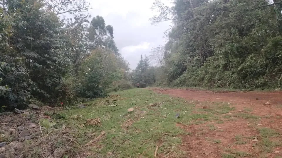 Main Photo - Real Estate | Land For Sale | Plots For Sale – Mile 9 Akum, Santa, MILE 9 AKUM, SANTA, Bamenda, Cameroon