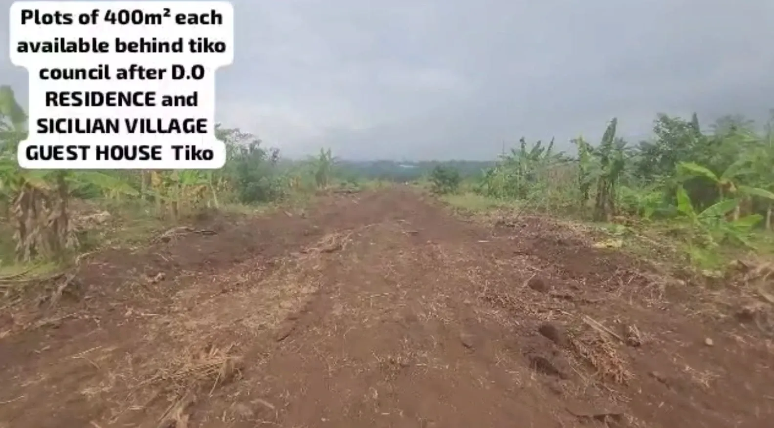 Main Photo - Real Estate | Land For Sale | New Lands Listing – Massive Land Opportunity At Tiko Behind Golf Club ., after Tiko Council, D.O Residence,Sicilian village Guest, Tiko, Cameroon