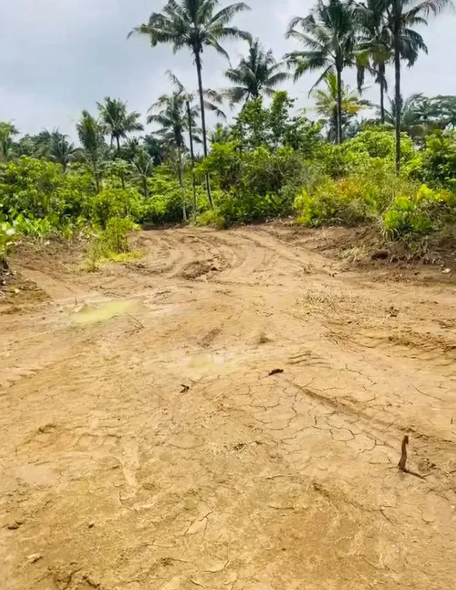 Main Photo - Real Estate | Land For Sale | Land For Sale – Hot Offer At Muya Mokumba - Buea, MUYA MOKUMBA, After Mount Camel, Buea, Cameroon