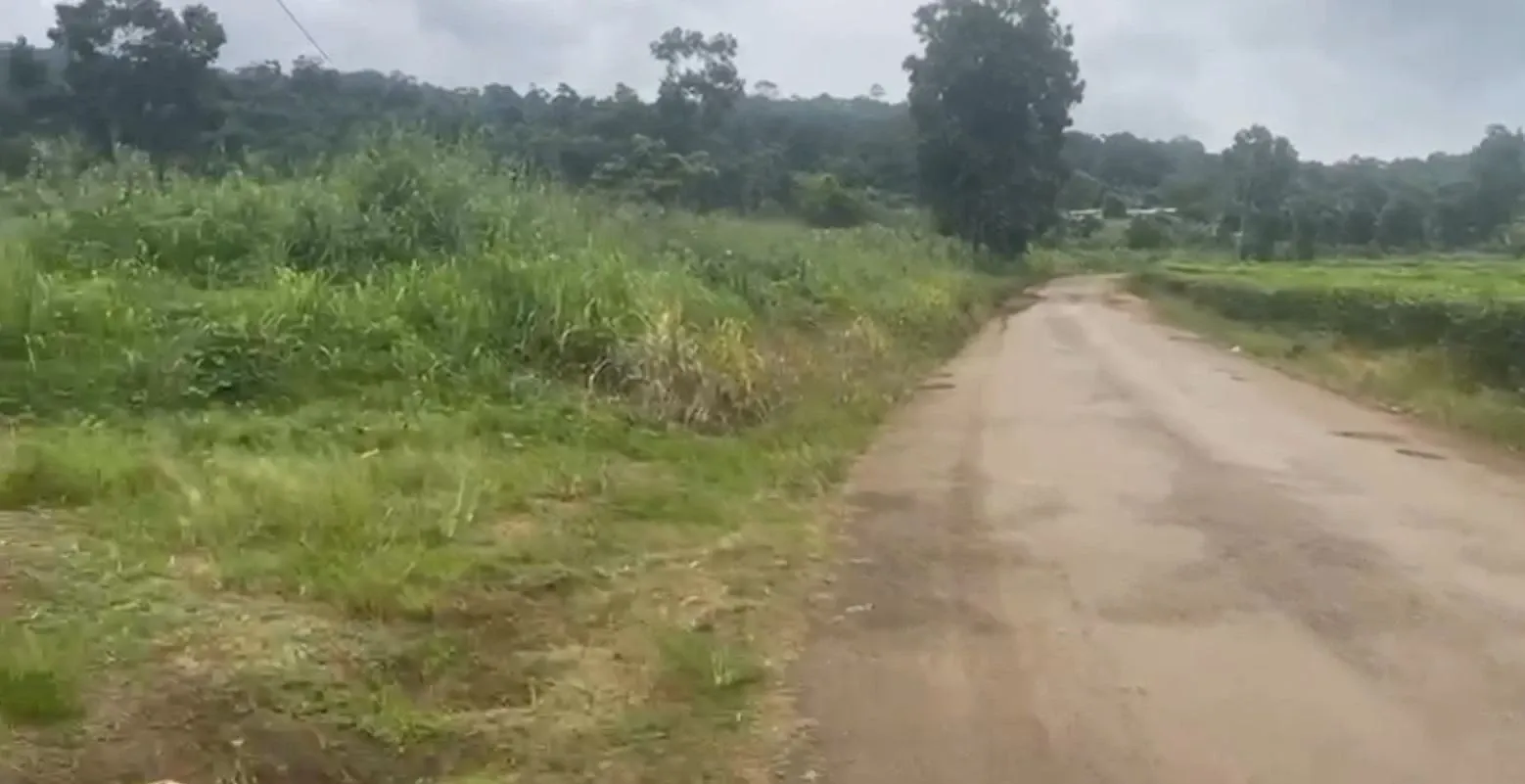 Photo Principale - Immobilier | Terrain À Vendre | Land Banking Opportunity At Tole - Buea Road, Bwassa Native Land., Bwasa New Layout, Buea, Cameroun