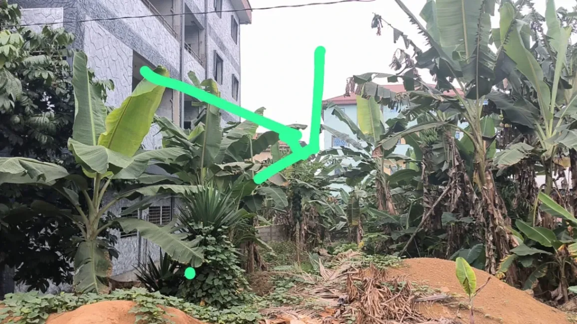 Photo Principale - Immobilier | Terrain À Vendre | New Listing Situate Behind Blue Empire Hotel, Buea In Cameroon., Situate behind Blue Empire Hotel Bwintingi Road BUEA, Buea, Cameroun