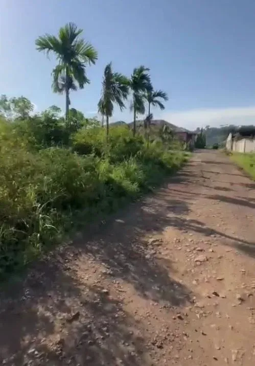 Photo Principale - Immobilier | Terrain À Vendre | New Listing — Large Parcel At Mutengene, Near Transformer Church, Mutengene, Cameroun