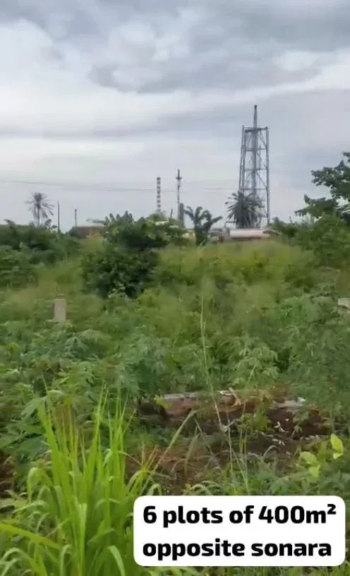 Photo Principale - Immobilier | Terrain À Vendre | New Listing — Multiple Plots At Mukundange, Limbe, Mukundange opposite SONARA, Limbé, Cameroun