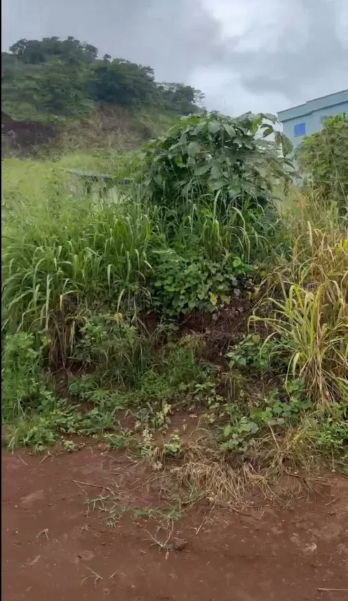 Photo Principale - Immobilier | Terrain À Vendre | Land For Sale – Prime Location In Botaland Limbe 🏡, Bota Land, Limbé, Cameroun
