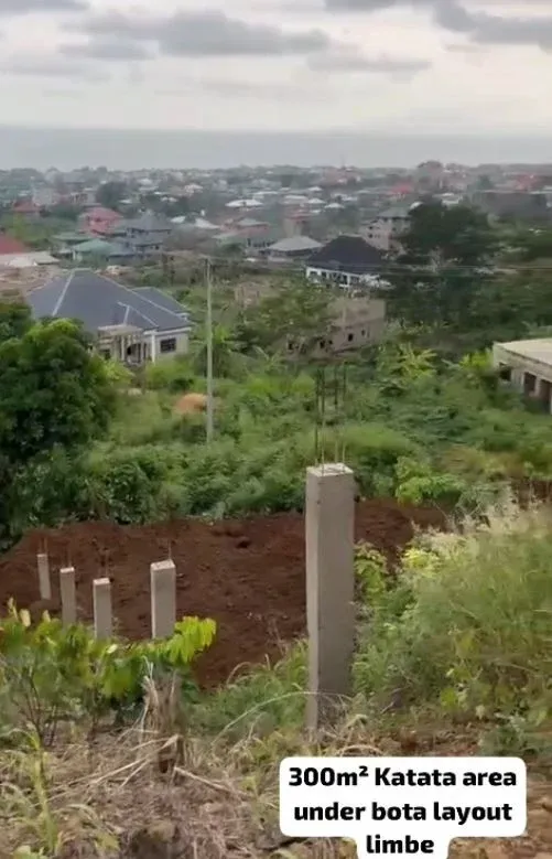 Photo Principale - Immobilier | Terrain À Vendre | New Listing — Affordable Land At Karata (Botaland Layout), Krata Native Village, Limbé, Cameroun