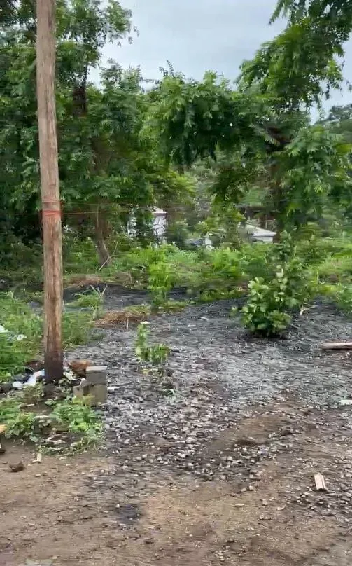 Photo Principale - Immobilier | Terrain À Vendre | Land For Sale In A Well-Developed Area At Mile 2 - Limbe, Mile II, Limbé, Cameroun