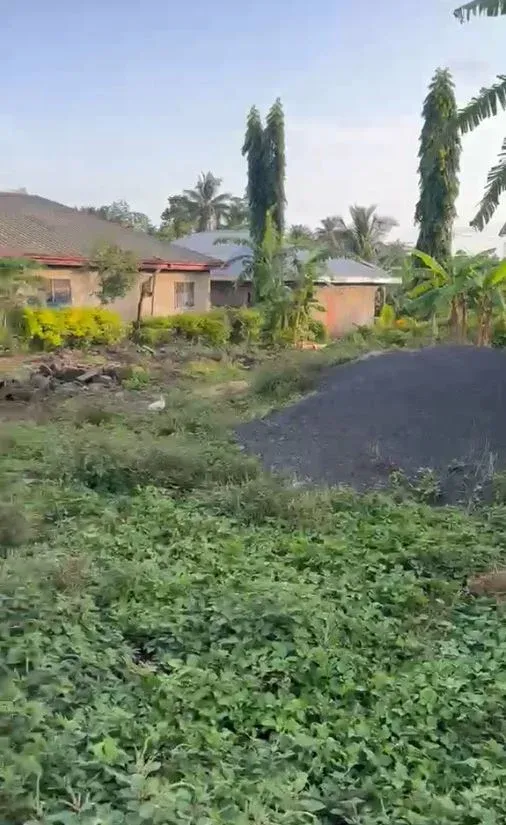 Photo Principale - Immobilier | Terrain À Vendre | Land For Sale – Mutengene 🌍, Street One (Behind Tomato Market), Mutengene, Cameroun