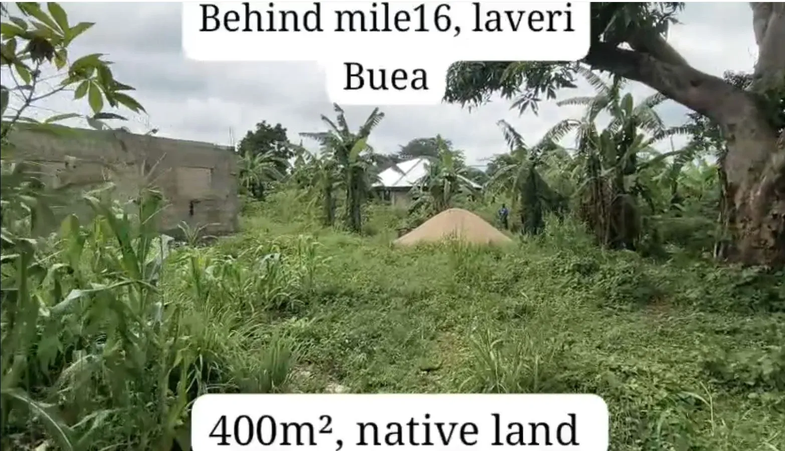 Photo Principale - Immobilier | Terrain À Vendre | New Listings Situate At Mile 16 Behind Bocom Filling Station Buea - Cameroon, Bolifamba (Mile 16), Buea, Cameroun