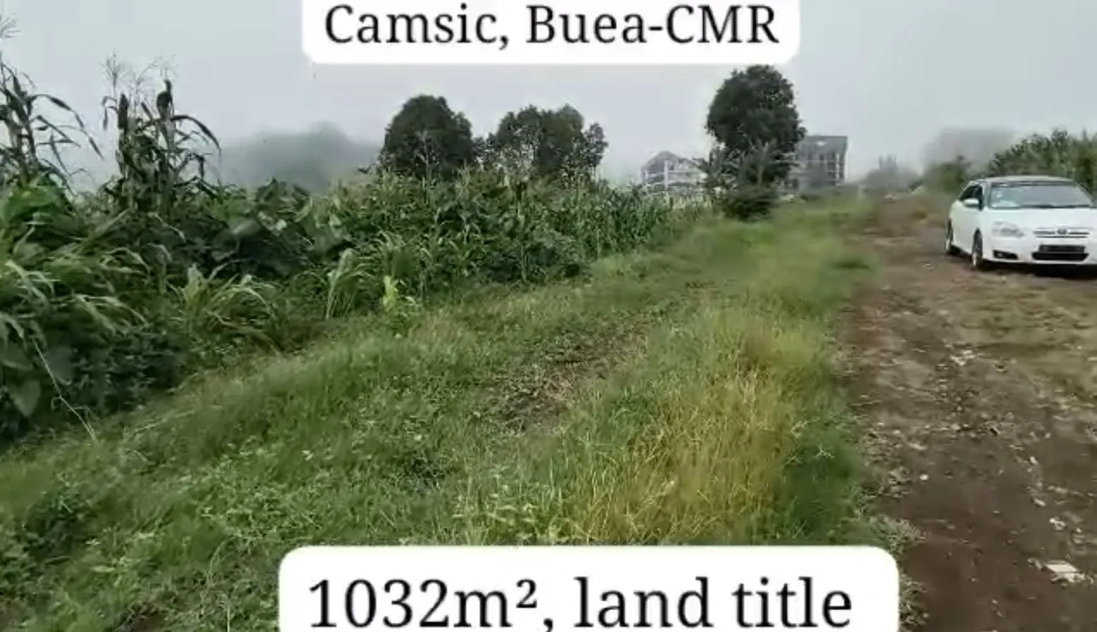 Photo Principale - Immobilier | Maison À Vendre | New Listing Situate At Camsic Buea-Cmr, CAMPSIC, Buea, Cameroun