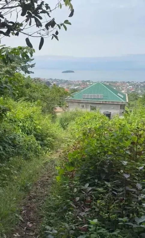 Main Photo - Real Estate | House For Sale | New Listing – Land For Sale In Limbe, Wovia New Layout, Limbé, Cameroon