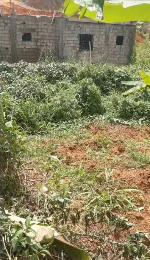 Photo Principale - Immobilier | Terrain À Vendre | Land For Sale In Tsinga – Yaoundé ✨🏡, TSINGA, Yaoundé, Cameroun