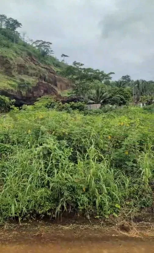 Main Photo - Real Estate | Land For Sale | Land For Sale – Karacta Area, Limbe, KARACTA AREA, Limbé, Cameroon