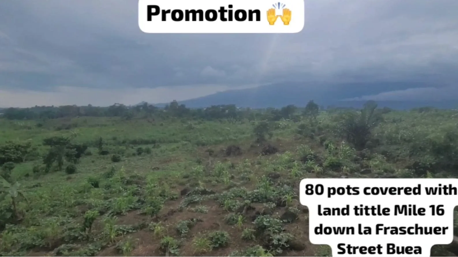 Main Photo - Real Estate | Land For Sale | 80 Plots Of 400M² Each Available At Ewili Community Layout Down La Frascheur Mile 16 Buea, Bolifamba (Mile 16), Buea, Cameroon