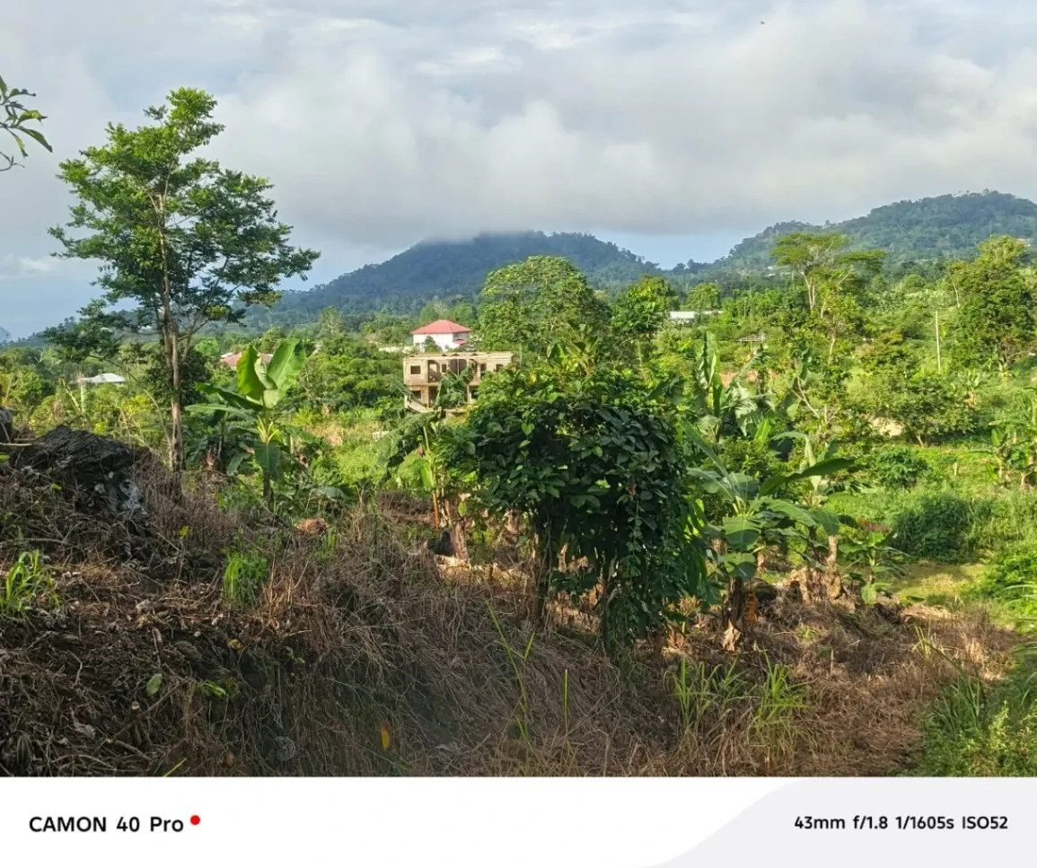 Main Photo - Real Estate | House For Sale | 𝐆𝐑𝐄𝐀𝐓 𝐈𝐍𝐕𝐄𝐒𝐓𝐌𝐄𝐍𝐓 𝐎𝐏𝐏𝐎𝐑𝐓𝐔𝐍𝐈𝐓𝐘 At Boana Village 🔥, BOANA VILLAGE, Limbé, Cameroon