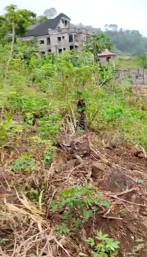 Main Photo - Real Estate | Land For Sale | 𝐏𝐑𝐈𝐌𝐄 𝐋𝐀𝐍𝐃 Located Behind Limbe I Council 𝐅𝐎𝐑 𝐒𝐀𝐋𝐄 𝐈𝐍 𝐋𝐈𝐌𝐁𝐄 🏡, Behind Limbe 1 council, Limbé, Cameroon