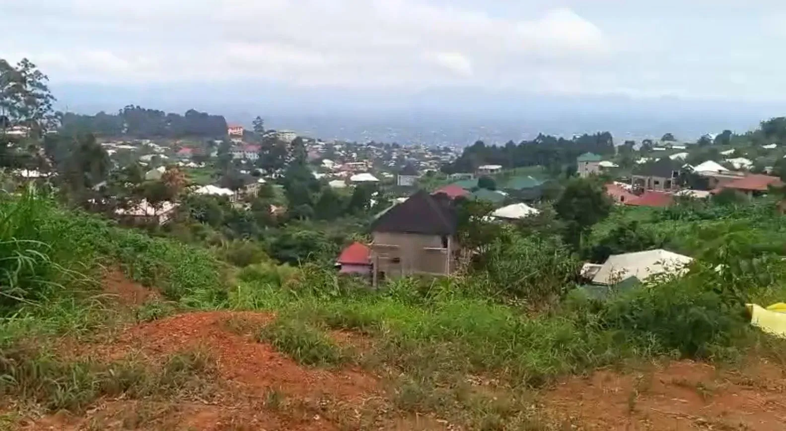 Photo Principale - Immobilier | Terrain À Vendre | Golden Opportunity At Up Station - Bamenda, Up station, Bamenda, Cameroun