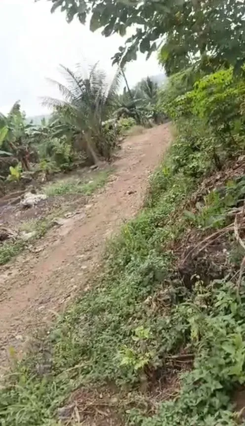 Main Photo - Real Estate | Land For Sale | Residential Land For Sale – Limbe 🏡, Mile 4, Limbe, Limbé, Cameroon