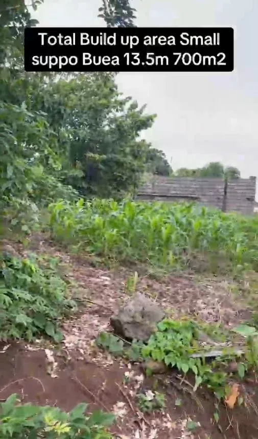 Main Photo - Real Estate | Land For Sale | Prime Land For Sale – Ready To Build! 🏡, Great Soppo, Buea, Cameroon