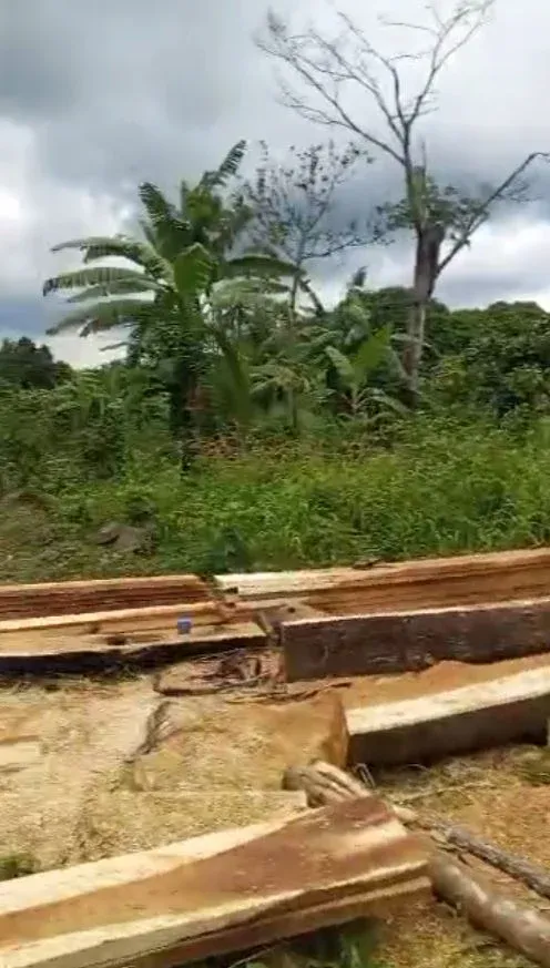 Photo Principale - Immobilier | Terrain À Vendre | Promotion! Promotion!! Promotion!!! 🎉, WONYAMEKUMBA, Buea, Cameroun