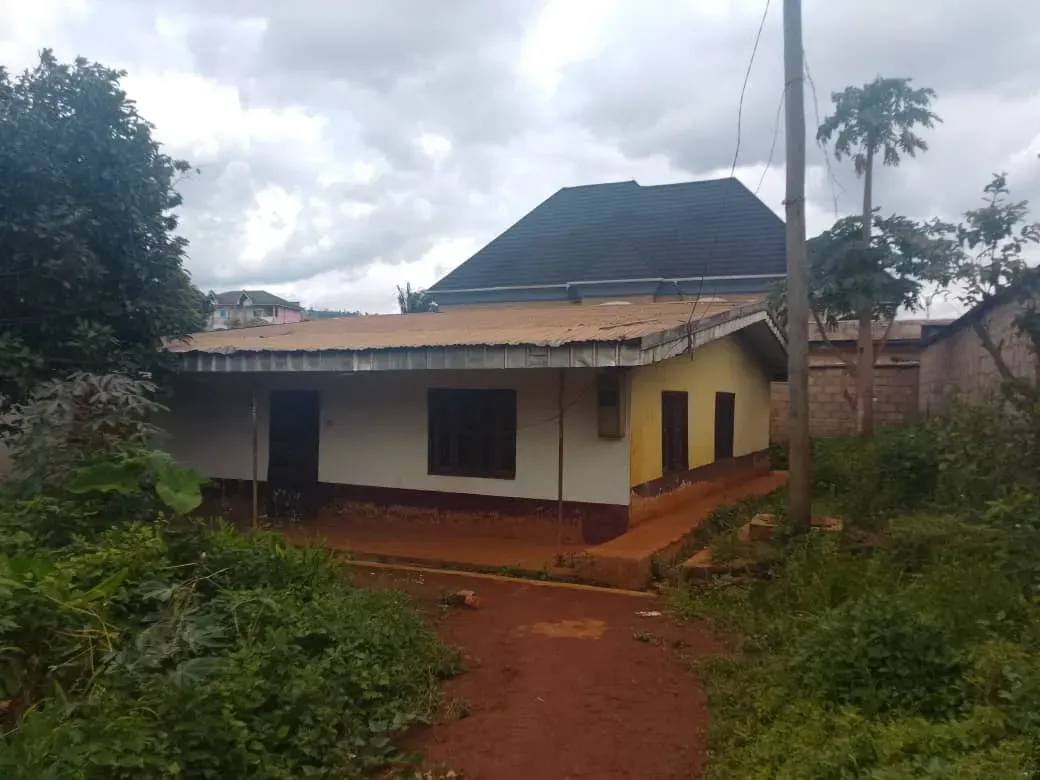 Photo Principale - Immobilier | Maison À Vendre | House For Sale – Farmers House, Mile 3 Nkwen, Bamenda, Farmers House, Mile 3 Nkwen, Bamenda, Cameroun