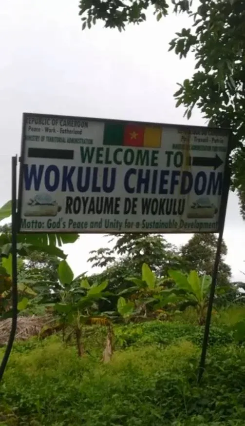 Land For Sale – Wukulu, Buea 🇨🇲