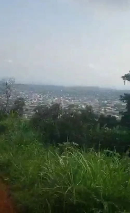 Main Photo - Real Estate | Land For Sale | Land For Sale – Great Soppo, Buea, Migist Bar, Great Soppo, Buea, Cameroon