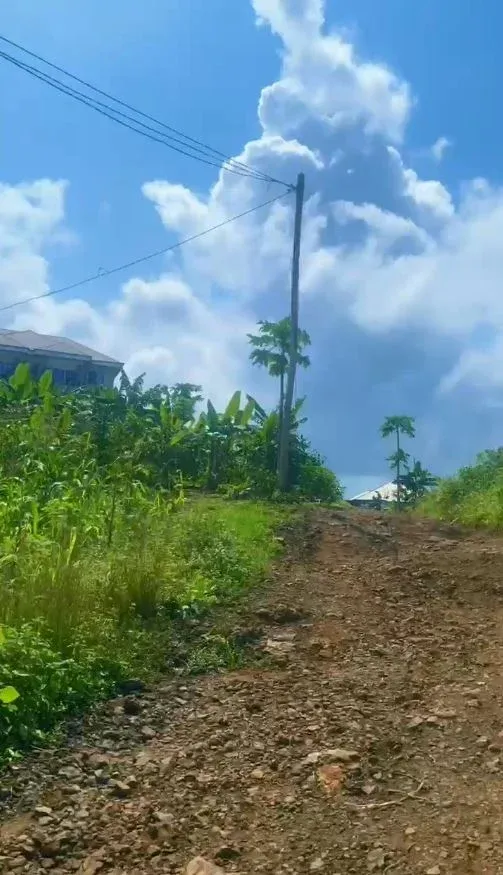 Main Photo - Real Estate | Land For Sale | Good Deal Of The Week – Land For Sale In Limbe! 🔥, Behind GHS Limbe, Limbé, Cameroon