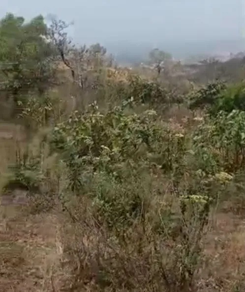 Main Photo - Real Estate | Land For Sale | Prime 1-Hectare Land For Sale – Banja Upstation, Bamenda 🌳, Banja - Upstation, Bamenda, Cameroon